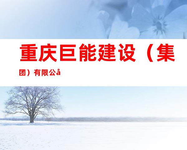 重庆巨能建设（集团）有限公司宁夏分公司